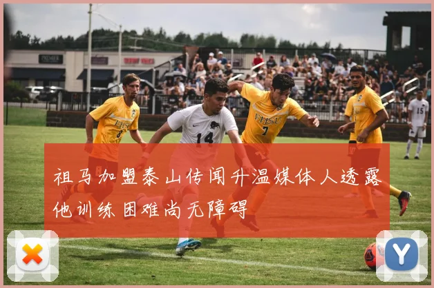 祖马加盟泰山传闻升温媒体人透露他训练困难尚无障碍